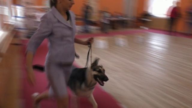 КВ Жесси