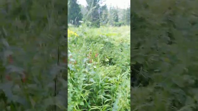 Большой Инзер смотреть онлайн