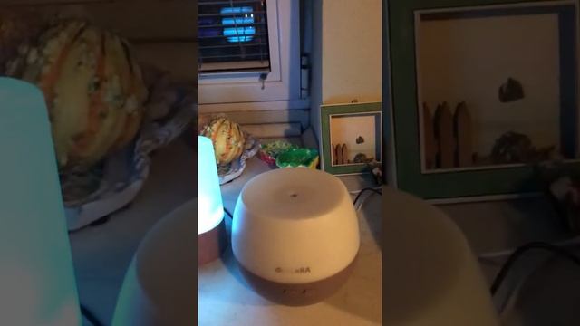 DoTerra дифузери Brevi, Lumo и Petal