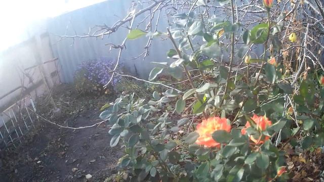 Атмосфера осени. Мой мини дневничок.  Работы еще много.