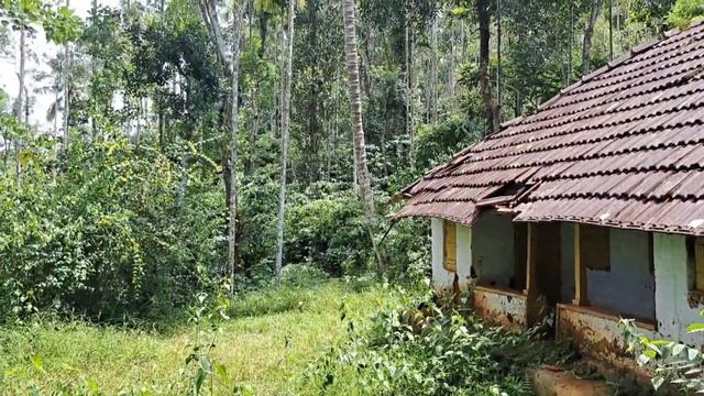 150 cent land for sale in ambalavayal 150 സെന്റ് സ്ഥലം അമ്പലവയൽ സെന്റിന് 37,000 വില കുറയും смотреть онлайн