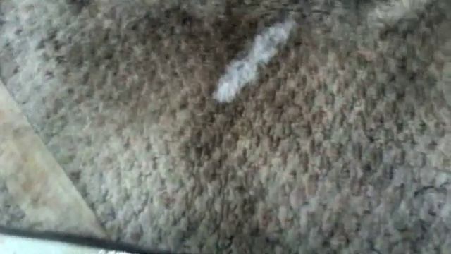 Cleaner - Extreme Multi-Purpose Cleaner™ Cleaning Product Demo смотреть онлайн