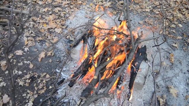 Шашлык под артобстелом 3 ноября 2014 года смотреть онлайн