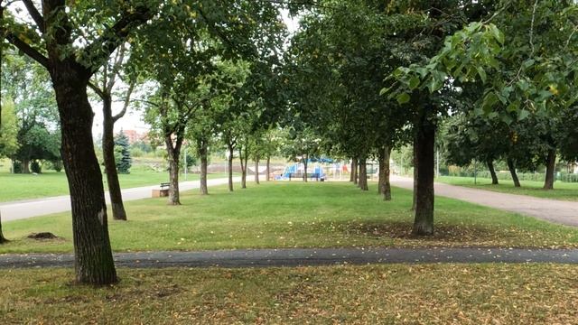Pähklimäe allee Narva 🇪🇪 смотреть онлайн