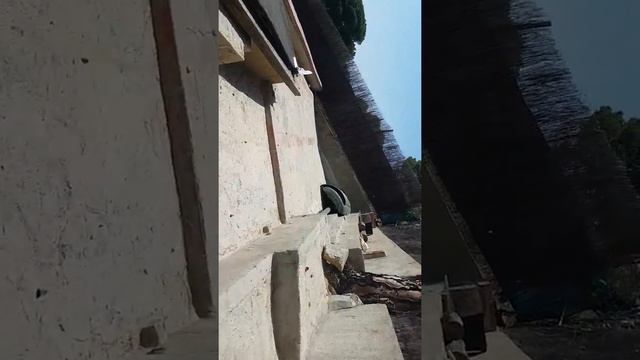 Abispa asesina смотреть онлайн