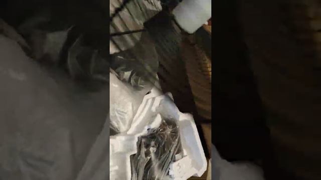 Unboxing Kdk industrial wall fan , Kdk YU50X , kdk fan смотреть онлайн