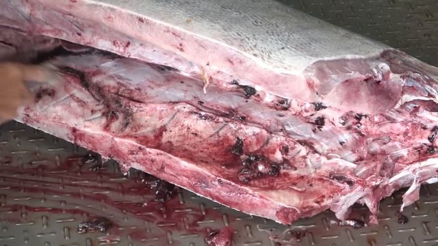 How to cut giant Marlin fish - fish cutting skills смотреть онлайн