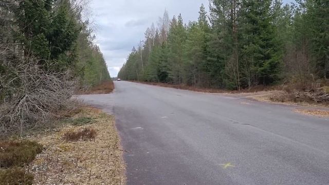 Alfa Romeo 75 race car test run 2022 смотреть онлайн