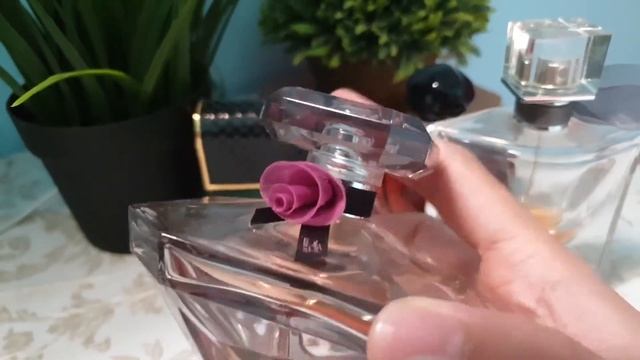 Perfume Wanita Terbaik Sepanjang Masa смотреть онлайн