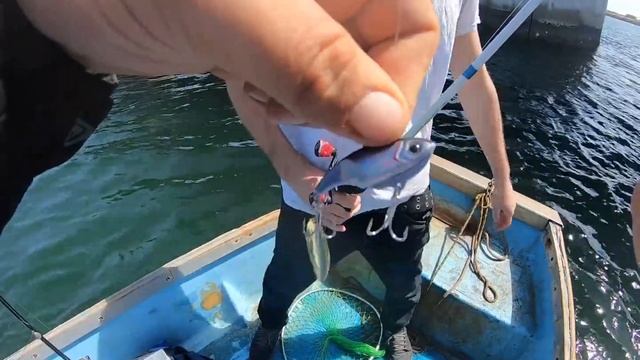 Fishing Mission Bay, SD, From a skiff. Catch The Tanks!!! смотреть онлайн