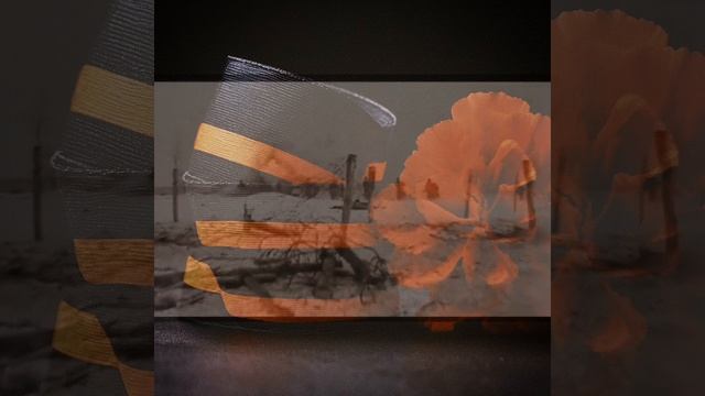 Zhuravli.../Журавли... (Оркестральный ремастер) смотреть онлайн