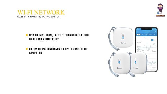 Govee H5179 Smart Thermo-Hygrometer User Manual & Setup Guide