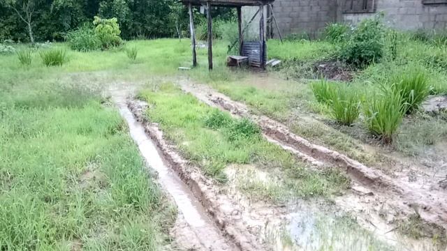 Foton 💪4wd смотреть онлайн