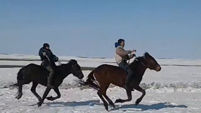 Еңбекшілер ауданы Алға ауылы наурызы смотреть онлайн