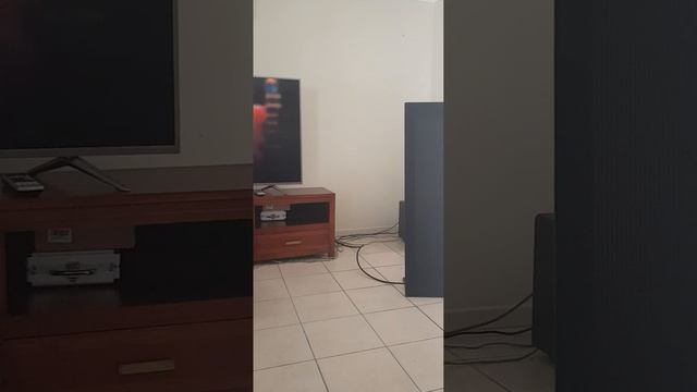 Magnepan LRS