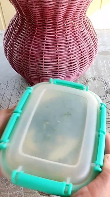 ВКУСНЕЙШИЕ СВЕЖИЕ КАБАЧКИ смотреть онлайн