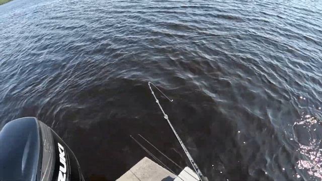 Первая рыбалка на BigBait'ы. Ловим на PigShad'ы. Джерк веcной