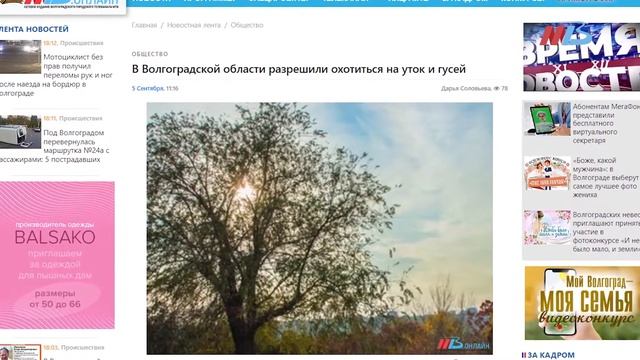 Спасение котенка, старт охоты на уток и новый смертельный вирус смотреть онлайн