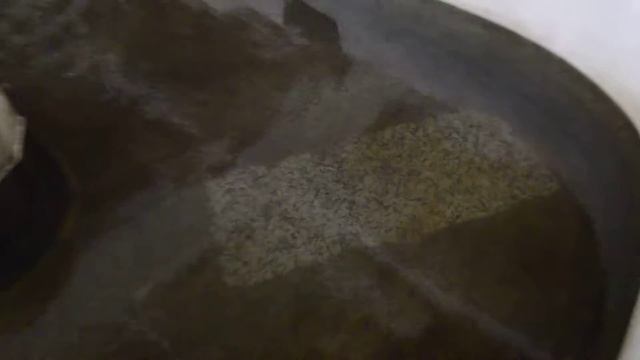 Молодь осетра смотреть онлайн