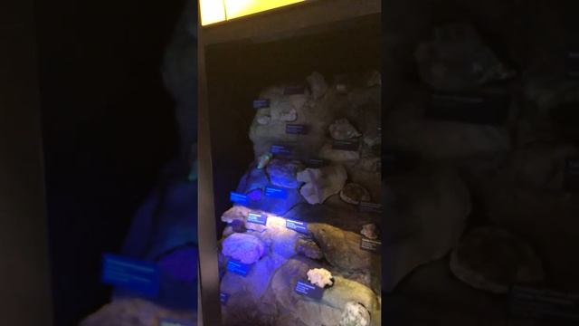 Fluorescent Rocks and Minerals - Cook Museum of Natural Science смотреть онлайн