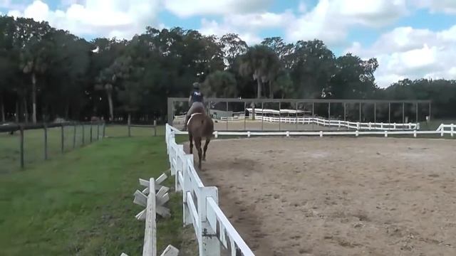 *SOLD*Paprika flat смотреть онлайн