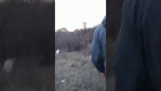 Шашлыки поход по дрова в лес