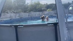 Купол для бассейна с террасой своими руками