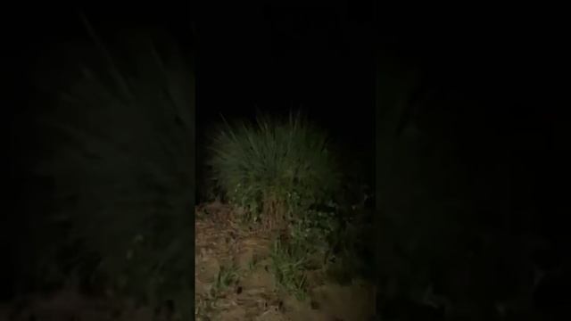 Ghost Detector 12.am On Subscribers Demand Watch Till End смотреть онлайн