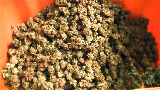Trimming Dry with the CenturionPro Mini смотреть онлайн