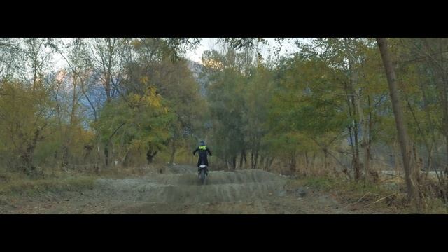 BELUGA DENTRO - Training with Izze смотреть онлайн