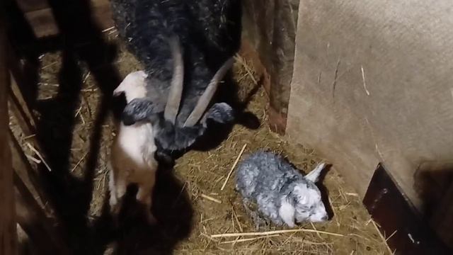 Доброе утро... воскресенье... смотреть онлайн