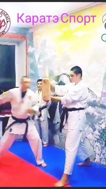 Каратэ Спорт тамешивари хайто-учи #КаратэСпорт #Sensei #WKF