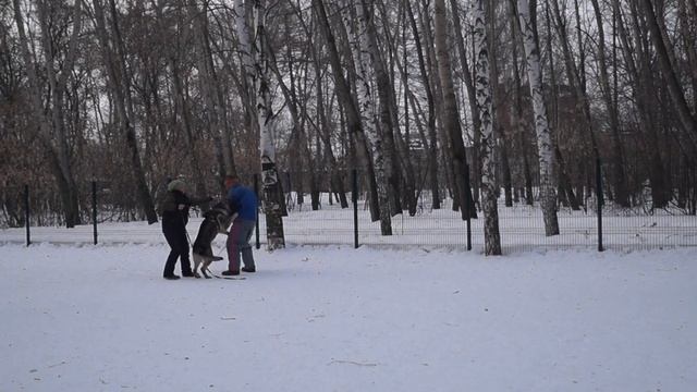 ВЕО Анубис смотреть онлайн