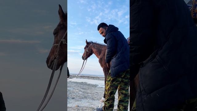 Мұнайлы ауданы "N6 жалпы білім беретін орта мектеп" КММ смотреть онлайн