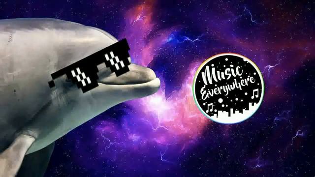 Dolphin On Wheels (Dolphin Blowers Remix) смотреть онлайн