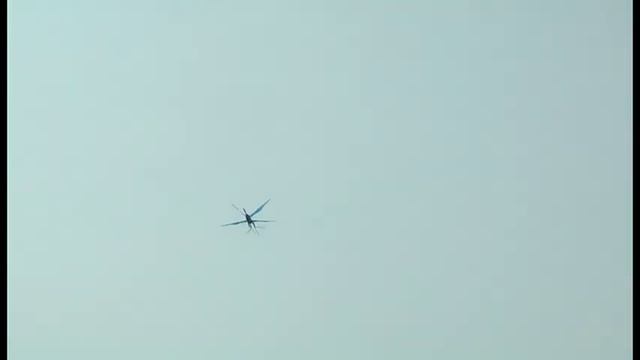 Tetrapteron12-1 of Avatar : Flight & Gliding in the wind смотреть онлайн