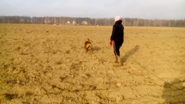 След Кокс парабола 8.11.2015 смотреть онлайн
