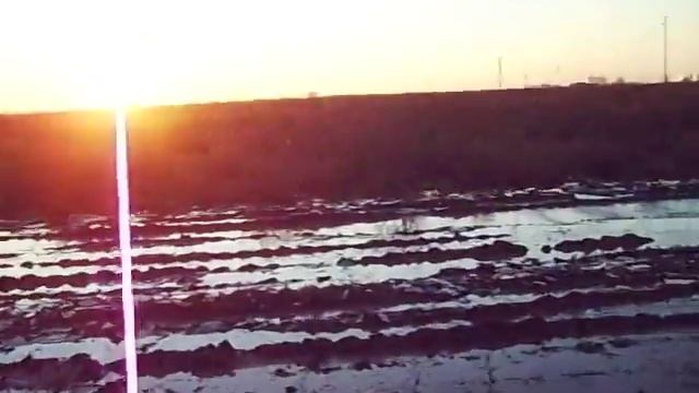 Vitaristii 2 - Satu Mare смотреть онлайн