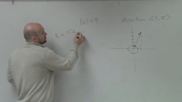 How To Write A Vector In The Same Direction And Magnitude