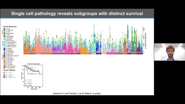 Multiscale analysis of in situ tumor biology towards precision medicine смотреть онлайн
