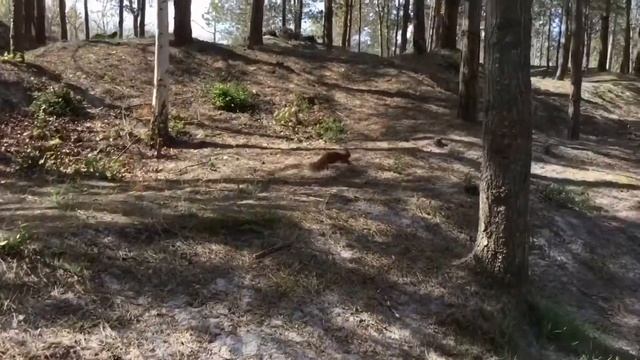 Liepājā 10.05.2020.❤️Живи века красивый, милый город Лиепая! смотреть онлайн