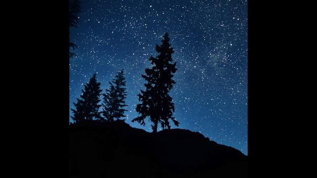 Little Night Lights - Magnetic West Music смотреть онлайн
