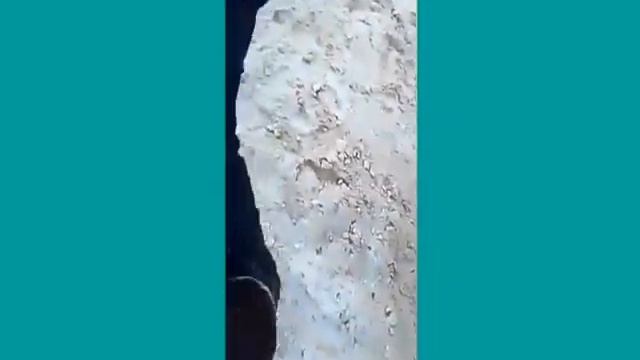 История АМИРЖАНА(сериал)1серия смотреть онлайн