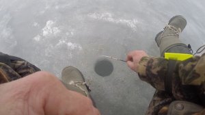 Поиск крупной тарани  зимой..  Часть 1 Весёловское водохранилище. Маныч от Юрия Философа