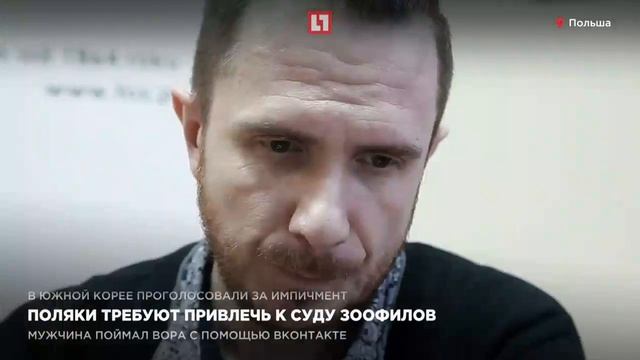 Поляки требуют привлечь к суду зоофилов смотреть онлайн