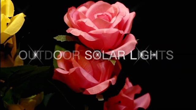 IQGVEB 14 Rose Flowers 200 Lumens Solar Garden Lights смотреть онлайн