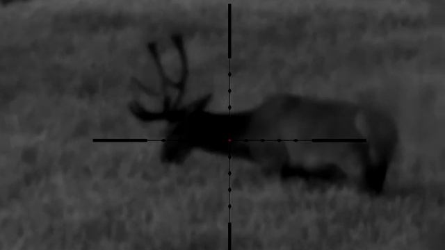 4. Pulsar Digisight Ultra N455 LRF
