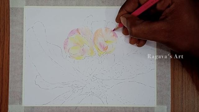 EUPHORBIA MILLI FLOWER DRAWING - PART 01