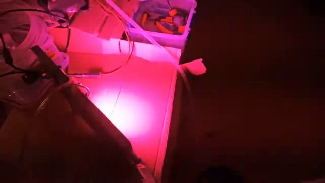 Water Cooling 500 Watt LED
