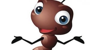 Как живут мои муравьи